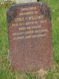 image of grave number 951863